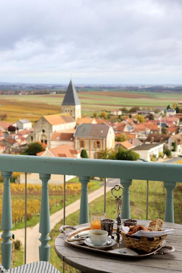 Chateau De Sacy Экстерьер фото